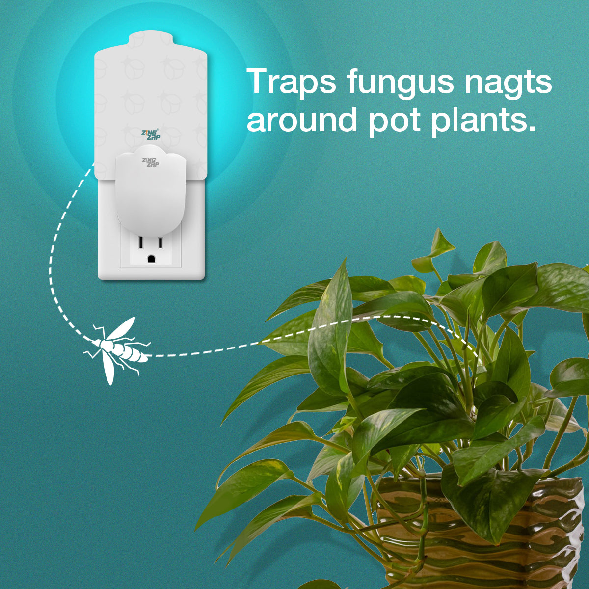 Flying Insect  Plug-in Trap