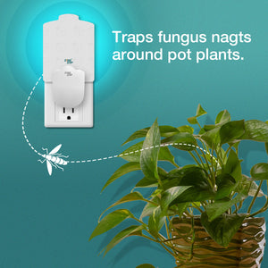 Flying Insect  Plug-in Trap