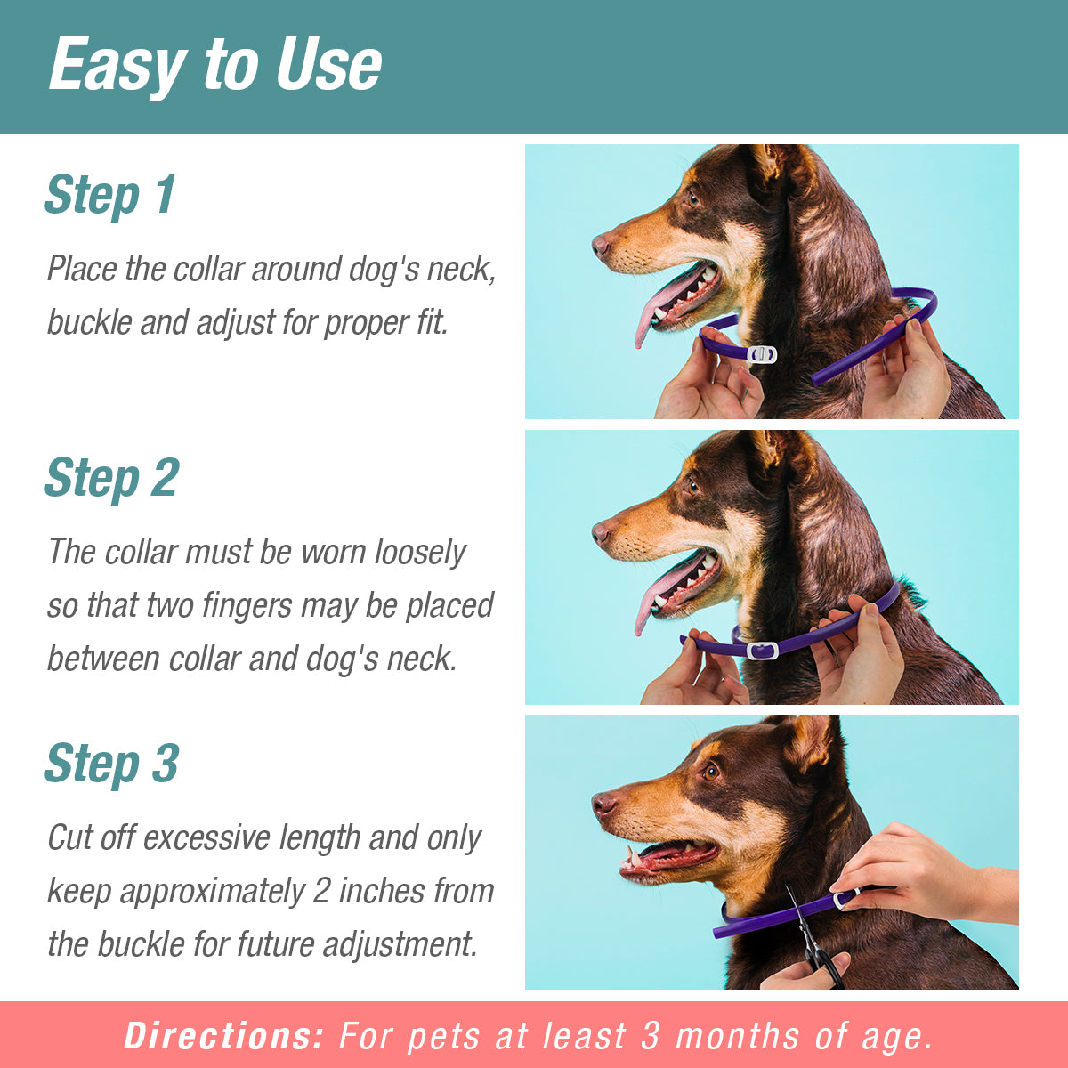 Flea & Tick Collar 2-Pack