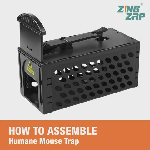 Humane Mouse Trap Cage, Indoor & Outdoor Catch & Release