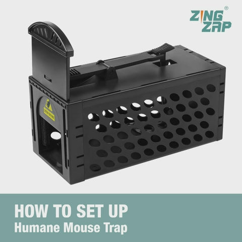 Humane Mouse Trap Cage, Indoor & Outdoor Catch & Release