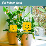 Load image into Gallery viewer, 24-Pack Sticky Insect Traps - Mood Emoji
